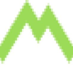 West Consulting LLC