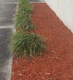 Made in the Shade Landscape Management
