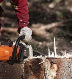 Oshawa Tree Service Ltd.