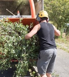 Caledon Tree Service