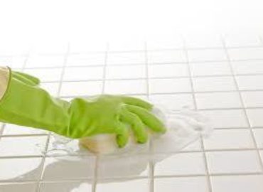 Green Carpet Cleaning Inc