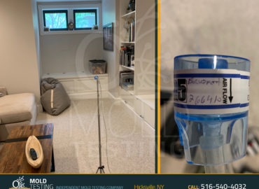 o2 Mold Testing