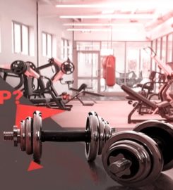 GAMMA FITNESS : Gym Equipment Manufacturer Jalandhar