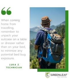 GreenLeaf Pest Control