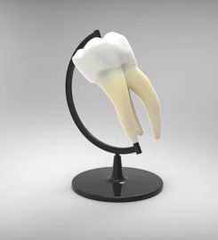 Memorial Dentists