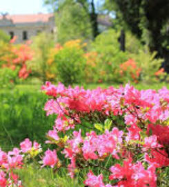 Showcase Landscaping Inc.