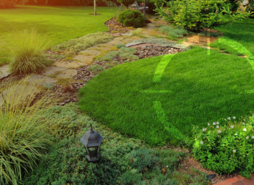 1st Choice Pest Solutions