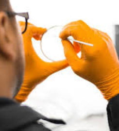Allentown Optical Corporation