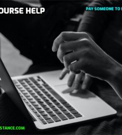 Online Class Assistance