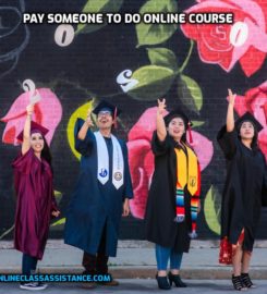 Online Class Assistance