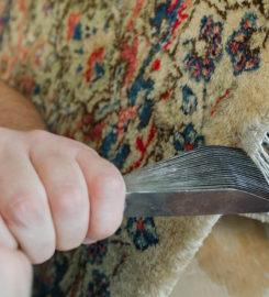 Carpet & Rug Cleaning Service New Rochelle