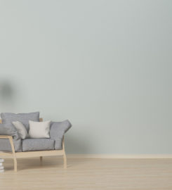 Southern Painting – Sarasota/Bradenton
