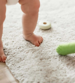 Commercial And Office Carpet Cleaning