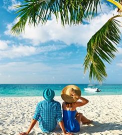 Fox Travel