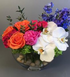 Flowers & Fancies