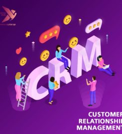 X! Qatar Digital Marketing Agency