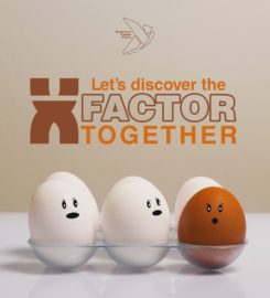 X! Qatar Digital Marketing Agency