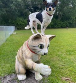 AAA Pet Resort