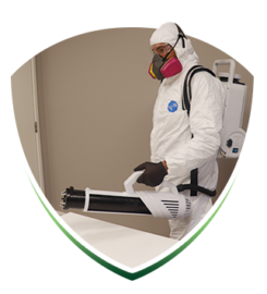 Safe Spray Disinfecting