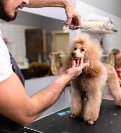AAA Pet Resort