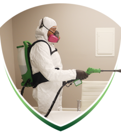 Safe Spray Disinfecting