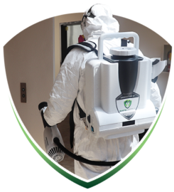 Safe Spray Disinfecting