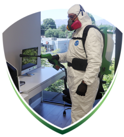 Safe Spray Disinfecting