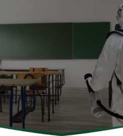 Safe Spray Disinfecting