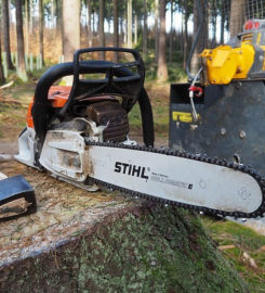 Downers Grove Tree Service