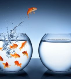 FEGLIswap.com