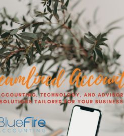 BlueFire Accounting
