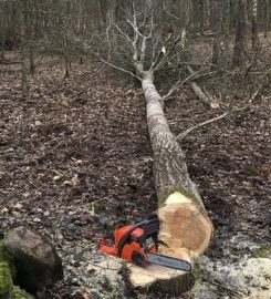 Downers Grove Tree Service