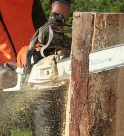 Downers Grove Tree Service