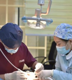 Maroondah Dental Care