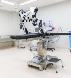Professional Gynecological Services