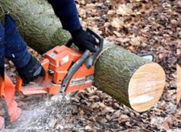 Indiana C Hampton