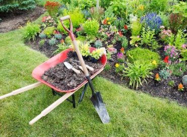Landscaper Cleveland