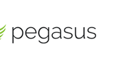 Pegasus Systems