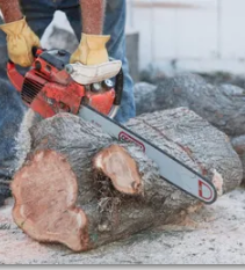 Orange County Tree Service