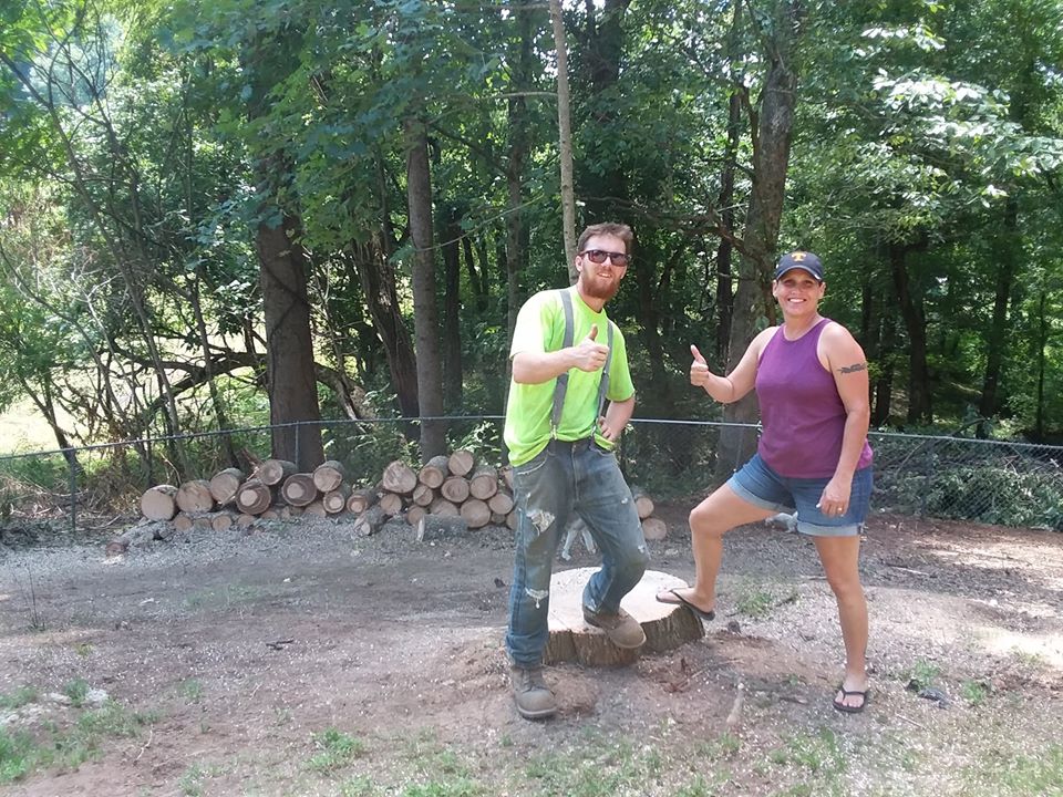 Tree Service Johnson City