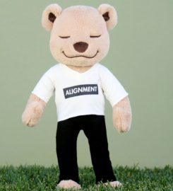 Meddy Teddy Inc.