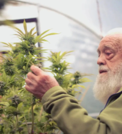 The Grow Room