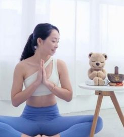 Meddy Teddy Inc.