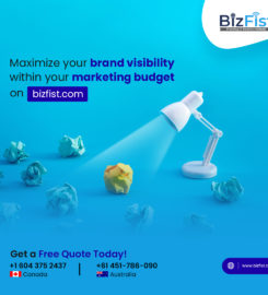 Bizfist IT Solution Ltd