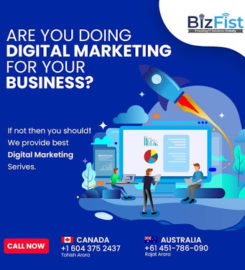 Bizfist IT Solution Ltd
