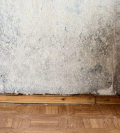 Indianapolis Foundation Repair Experts