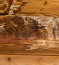 Citywide Painting and Remodeling LLC