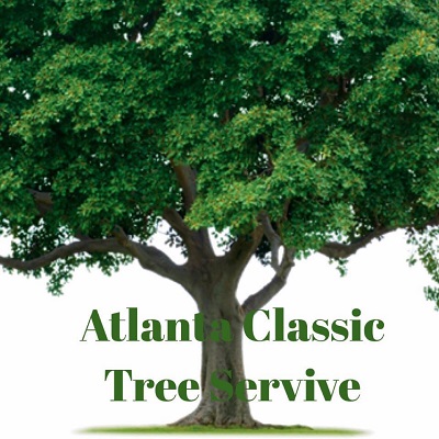 Atlanta Classic Tree Service