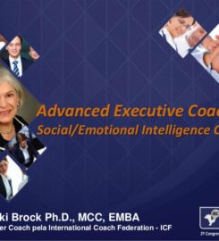 Advanced Executive Coaching