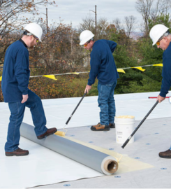 Carmine Roofing Service